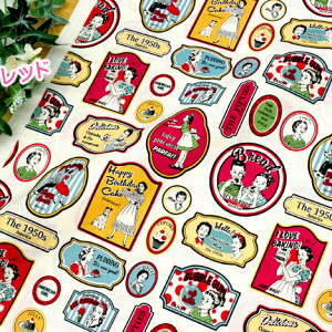 X[p[Z[zYUWA킢ngŃ|bvŃAJuuuAJ fU[gp_CX v108cm×50cm 50cmP [OK Rbg 100