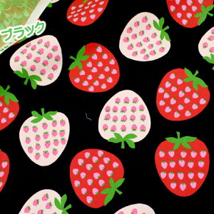 X[p[Z[zn 킢 a g t[c ut[cint[c by kokoseki v POPŃJWA Rbg100% 108cm×50cm 50cmP [OK nhCh