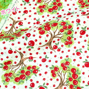 n 킢 S łu YUWA S̖؁v|bvȃt[c L֏X  Rbg V[eBO z108cm×50cm 50cmP [OK pb`[N nhCh