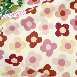 n k ԕ 킢u k OEHEAENEAvpb`[N nhCh  Rbg V[`O z108cm×50cm 50cmP [OK