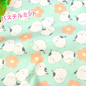 n 킢 V}GiK u {{pXeV}GiK v| nhCh IbNX  Rbg 108cm×50cm 50cmP [OK