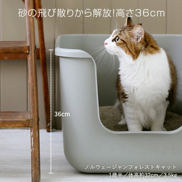 楽天市場】猫 トイレ 大型 インテリア ねこ ネコ ペット 飛び散らない 