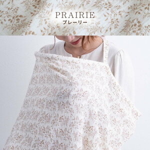 _V10%OFFN[|zz^ _uK[[ 唻 XNGA P[v C[ Jo[ i` ԕ ԕ  [t t K[[ Rbg100% l킢 oYj oY Ԃ