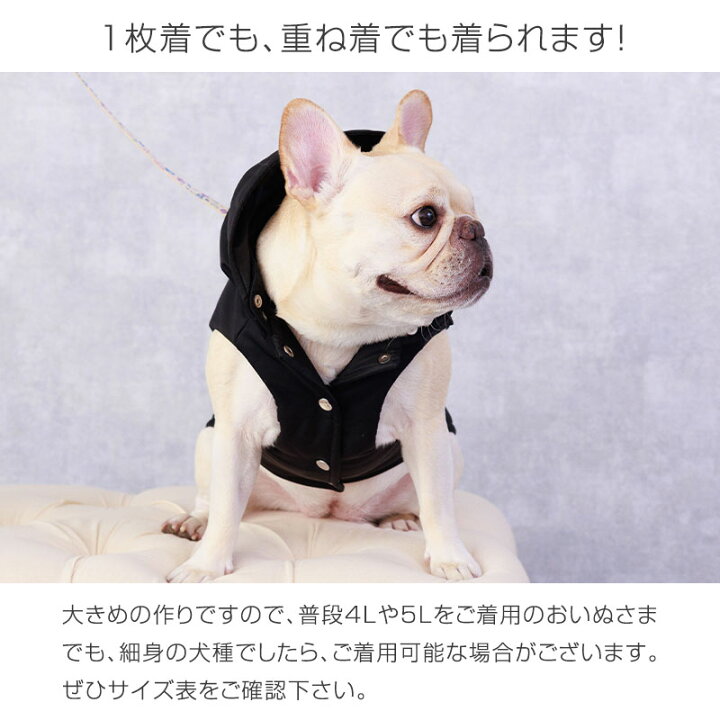 楽天市場】＼最大1000円OFFクーポン／ OINUSAMA ONEKOSAMA ペット 