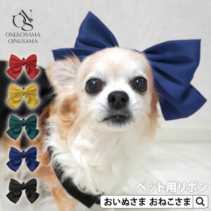 _ő1000~OFFN[|^ yuhzOINUSAMA ONEKOSAMA { ybgANZT[ hbO Lbg nEB LOBe  ACh CX^   NR[f | 