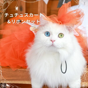 _ő1000~OFFN[|^ yuhzOINUSAMA ONEKOSAMA ybg``{Zbg XJ[g hbO ybg Lbg EGA ybg  L  L   p[eB[ nEB C