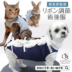 _ő2000~OFFN[|^ ybtďCzp㕞 { L   j̎q ̎q D  p 畆a p㒅 쒅 pW} ybgEFA hbOEFA LbgEFA [X 