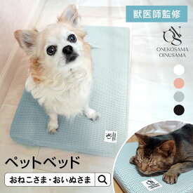 クーポンで最大2000円OFF★OINUSAMA ONEKOSAMA ペットベッド | 犬グッズ 猫グッズ ペット用品 夏 さらさら メッシュ 介護用 小型犬 犬 猫 ベッド 洗える エアー 通気性 スクエア おねこさま [M便 2/6]