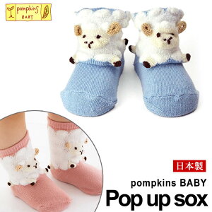 _ő1000~OFFN[|^ y{zxr[\bNX Ђ wPOMPKINSx|vLY sԂ xr[ \bNX C  Aj} qcW oYj j̎q ̎qt