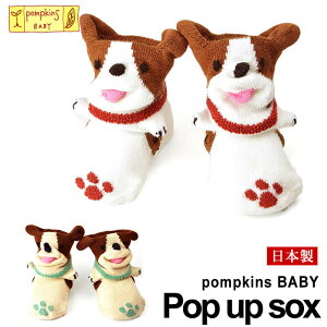 犬 靴下 ベビー用品の人気商品 通販 価格比較 価格 Com