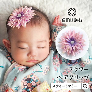 _500~OFFN[|^ xr[ wANbv  Ԃ a  wAANZ Nbv xr[ObY ݏ я a xr[ xr[hX hX  Mtg sN  [M 2/6]