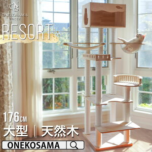 _ő2000~OFFN[|^ ONEKOSAMA Lbg^[ ؐ FDt yRESORTz ][g FD nbN  6i 176cm btďC VR i`  킢 u ȃXy[X 