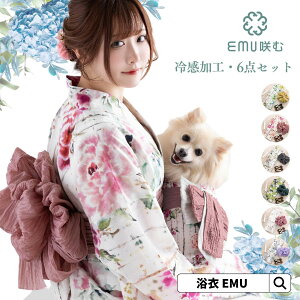 _NAX70It^   Zbg 킢 EMU fB[X   6_Zbg 䂩 z    ۊǑ ԕ  a a i VbN  Ղ ԉΑ Cx