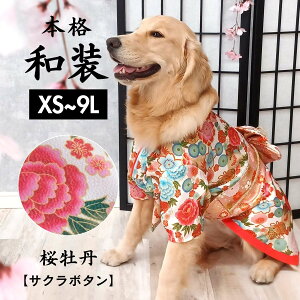 {I_őP10{^   hbO Lbg EGA ybg  L ^ ^ ^  L  U   a a Be NNn  {iI ꒅ ЂȍՂ   | 