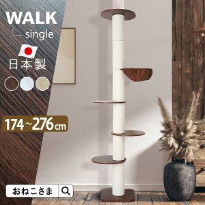 _ő3000~OFFN[|^ ONEKOSAMA { WALK EH[N|TREE c[ ؓo^[ U[ Lbg^[ ؂̂ڂ ɑ|[ 킢 X ˂ u ȃXy[X RpNg 