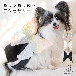 _ő1000~OFFN[|^ yuhzOINUSAMA ONEKOSAMA 傤 H ybgANZT[ hbO Lbg o^tC nEB LOBe  ACh CX^   