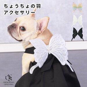 {I_őP10{^ yuhzOINUSAMA ONEKOSAMA 傤 H ybgANZT[ hbO Lbg o^tC nEB LOBe  ACh CX^   N