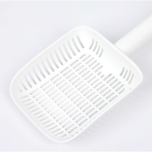 _ő1000~OFFN[|^ ONEKOSAMA LgC L XRbv Vx Iׂ  Ȃ |₷ ₷ ₷ L gC    X^CbV CeA