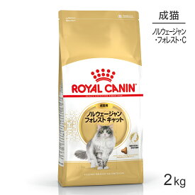 【最大350円オフクーポン■要事前取得】ロイヤルカナン ノルウェージャンフォレストキャット 2kg (猫・キャット) [正規品]