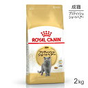 ■最大ポイント10倍【要エントリー】ロイヤルカナン ブリティッシュショートヘアー 2kg (猫・キャット) [正規品]