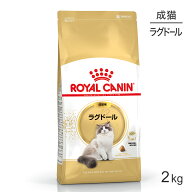 【最大400円オフクーポン■要事前取得】ロイヤルカナン FBN ラグドール 成猫用 生後12ヵ月齢から12歳まで…