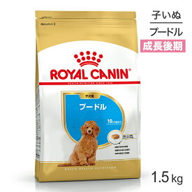 ■最大ポイント10倍【要エントリー】ロイヤルカナン プードル 子犬用 1.5kg (犬・ドッグ) [正規品]