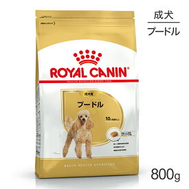 ■最大ポイント10倍【要エントリー】ロイヤルカナン BHN プードル 成犬用 生後10ヵ月齢以上 800g (犬・ドッグ)[正規品]