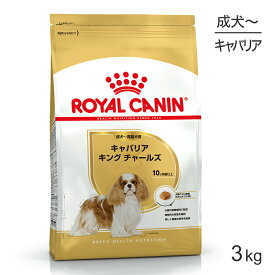 【マラソン中最大ポイント10倍※要エントリー】ロイヤルカナン キャバリア キング チャールズ 成犬・高齢犬用 3kg (犬・ドッグ) [正規品]