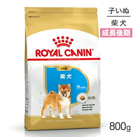 【マラソン中最大ポイント10倍※要エントリー】ロイヤルカナン 柴犬 子犬用 800g (犬・ドッグ) [正規品]