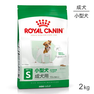 y1ő100%|CgvGg[zCJi SHN ~j A_g ^ p 10ȏ 2kg (EhbO)[Ki]