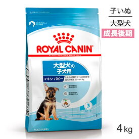 ロイヤルカナン SHN マキシ パピー 大型犬 成長後期の子犬用 生後15ヶ月齢まで 4kg (犬・ドッグ)[正規品]