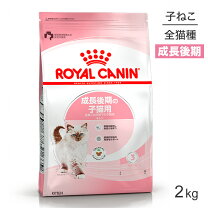 楽天市場】ロイヤルカナン 猫 2kgの通販