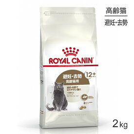 【最大350円オフクーポン■要事前取得】ロイヤルカナン エイジングステアライズド12+猫用 2kg (猫・キャット) [正規品]