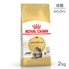 ロイヤルカナン メインクーン 成猫用 2kg (猫・キャット) [正規品]