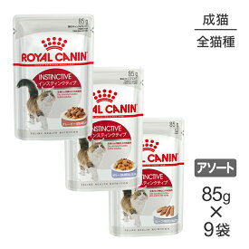 ■生活応援キャンペーン実施中■【メール便】【85g×9袋】ロイヤルカナン FHN-WET 健康な成猫のためのウェット お試しセット (1) インスティンクティブ (猫・キャット)[正規品]