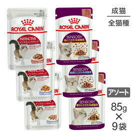 ■最大ポイント10倍【要エントリー】【メール便】【85g×9袋】ロイヤルカナン FHN-WET 健康な成猫のためのウェット お試しセット (3) インスティンクティブ＆センサリー (猫・キャット)[正規品]