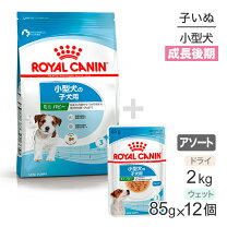 楽天市場】ロイヤルカナン 生後8ヶ月 小型犬の通販