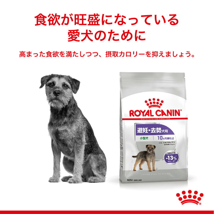 楽天市場】□ポイント5倍【要ｴﾝﾄﾘｰ】ロイヤルカナン ミニ 