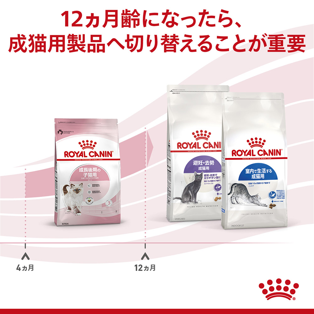 【2kg×2袋】ロイヤルカナン キトン 成長後期の子猫用 (猫・キャット) [正規品] スイートペット