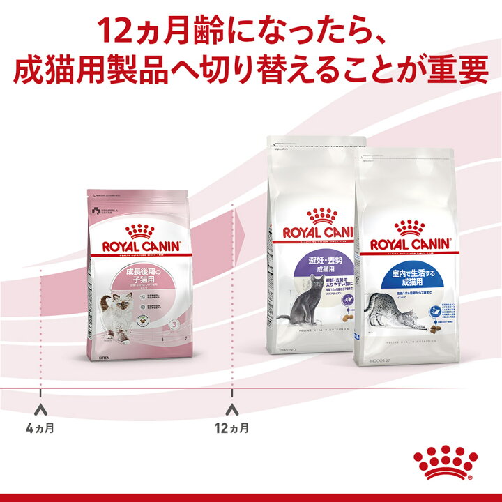 楽天市場】ロイヤルカナン キトン 猫用 10kg (猫・キャット) [正規品  