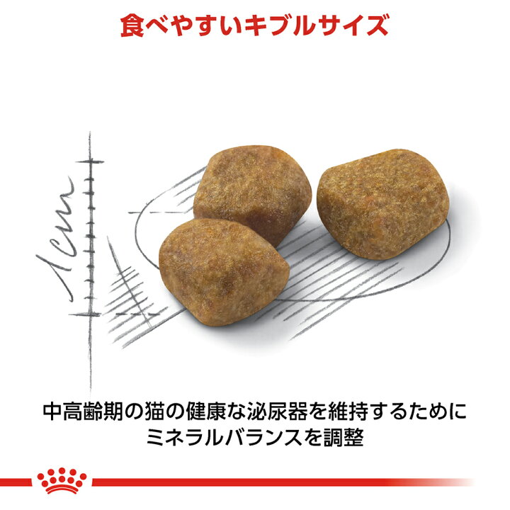 楽天市場】ロイヤルカナン FHN インドア 7+ 室内で生活する中・高齢猫 