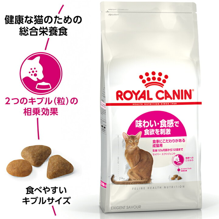 楽天市場】ロイヤルカナン FHN セイバー エクシジェント 食事に 