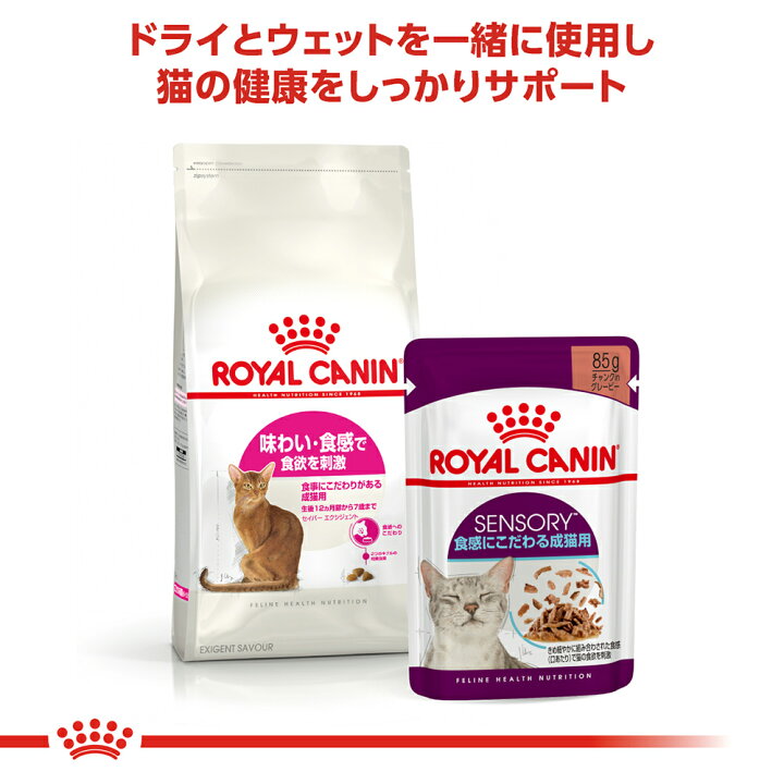 楽天市場】ロイヤルカナン FHN セイバー エクシジェント 食事に 