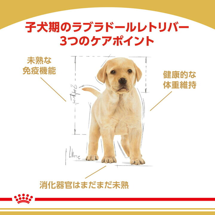 楽天市場 3kg 4袋 ロイヤルカナン ラブラドールレトリバー 子犬用 犬 ドッグ 正規品 スイートペット