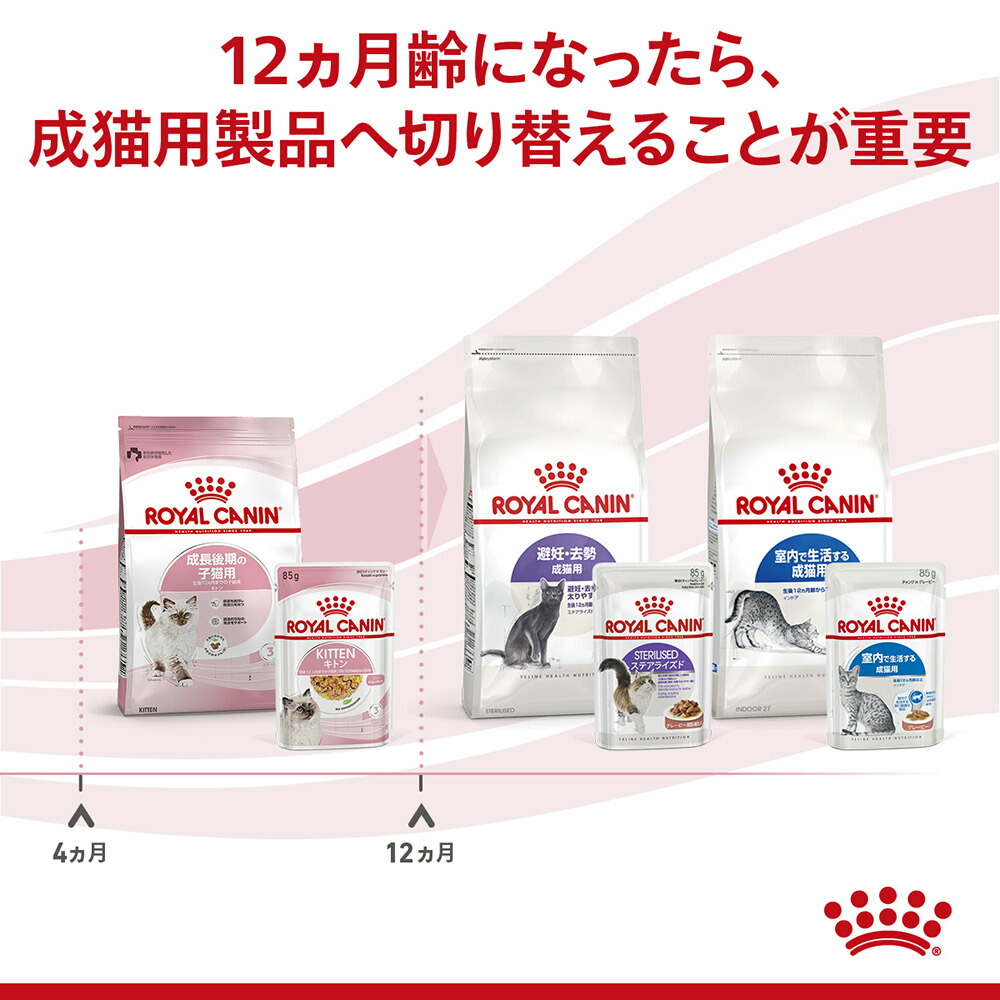楽天市場】【85g×48袋】ロイヤルカナン FHN-WET キトン ゼリー (猫