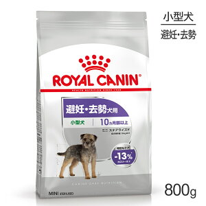 CJi CCN ~j XeACYh ^ DE 10ȏ 800g (EhbO)[Ki]