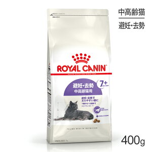 CJi FHN XeACYh 7+ DE ELp 7΂12΂܂ 400g (LELbg)[Ki]