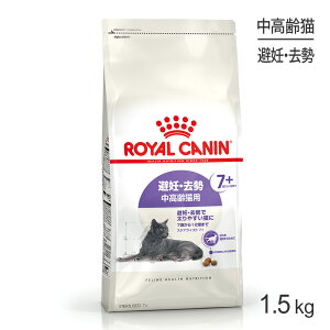 CJi FHN XeACYh 7+ DE ELp 7΂12΂܂ 1.5kg (LELbg)[Ki]