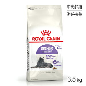 CJi FHN XeACYh 7+ DE ELp 7΂12΂܂ 3.5kg (LELbg)[Ki]