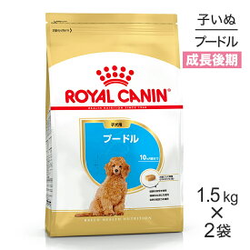 【1.5kg×2袋】ロイヤルカナン BHN プードル 子犬用 生後10ヵ月齢まで (犬・ドッグ)[正規品]